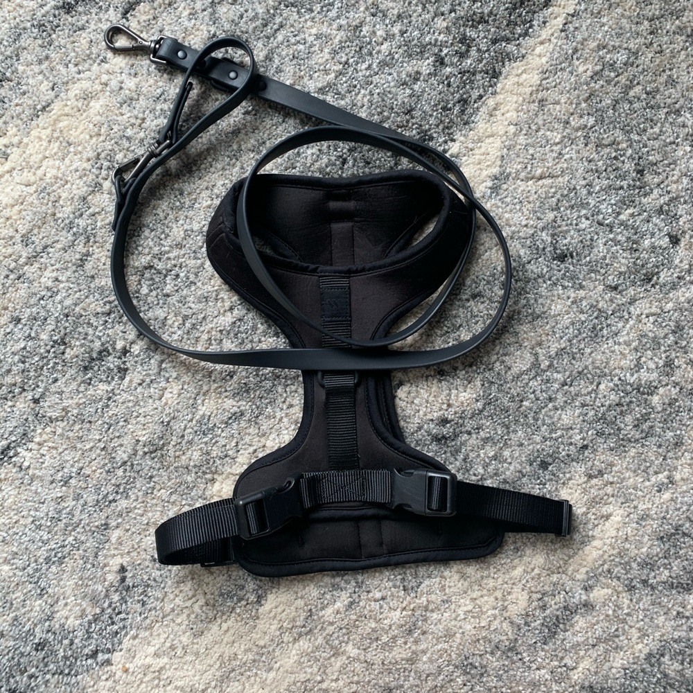 Wild One Harness Walk Kit